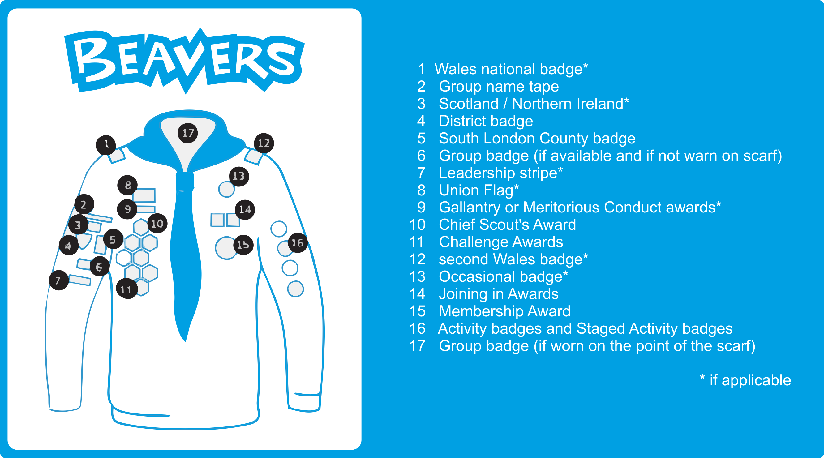 Beaver badge positions