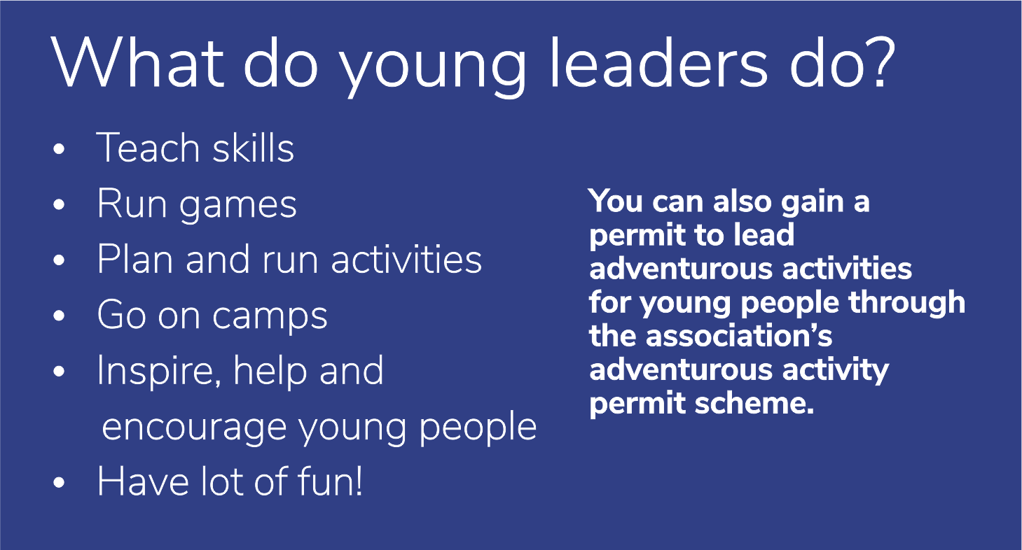 What do young leaders do?