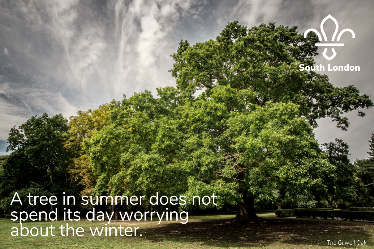 A tree in summer does not spend its day worrying about the winter.