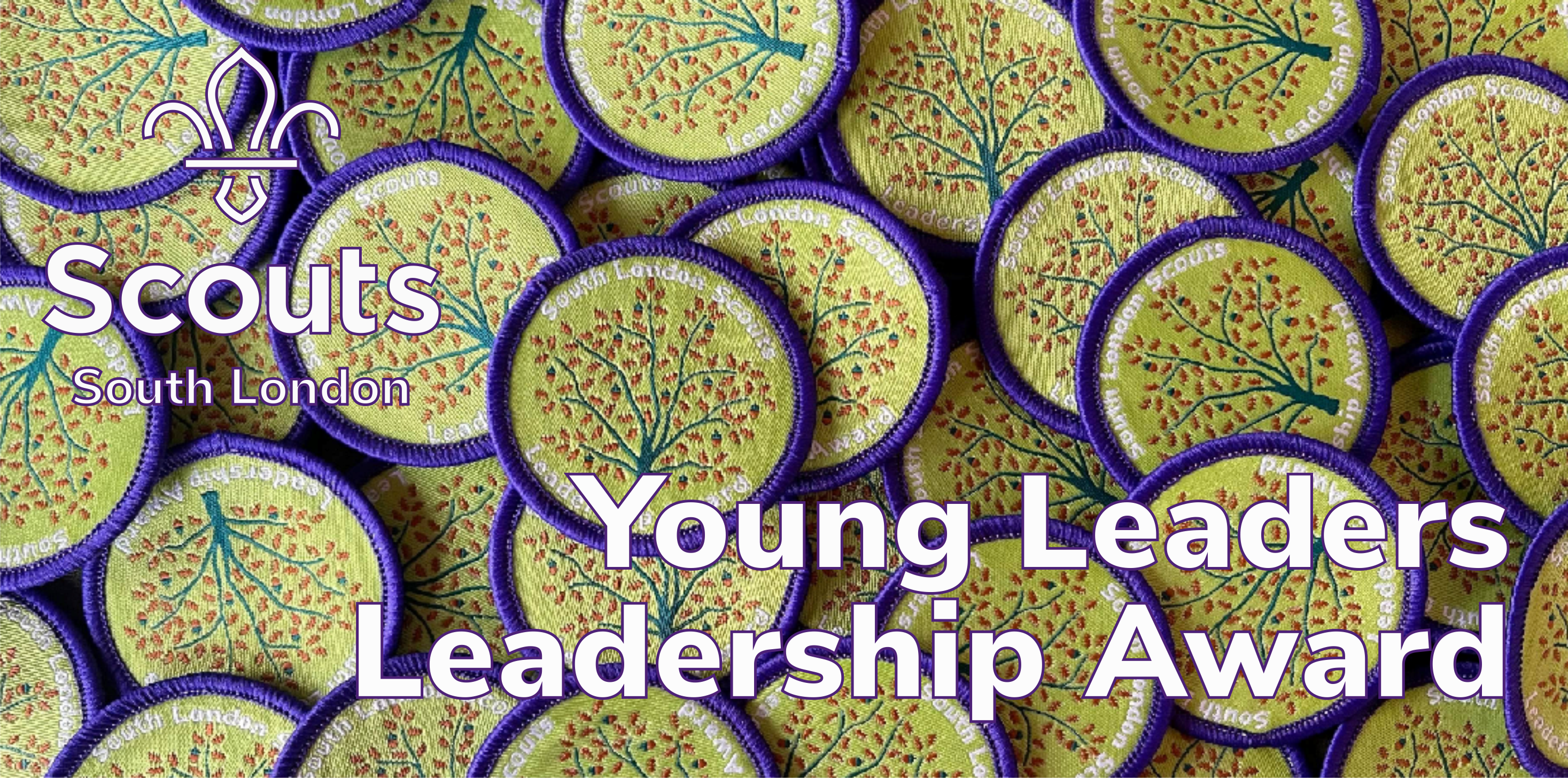Young Leaders Leadership Award 