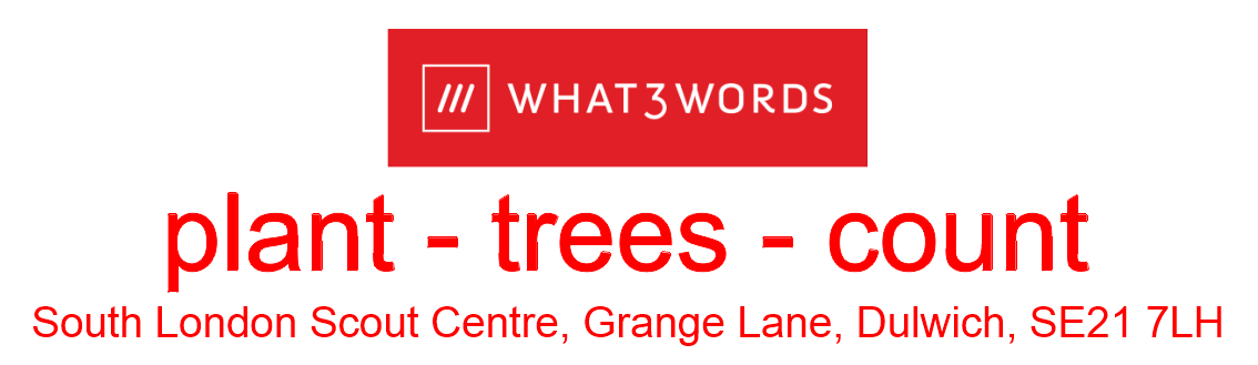 What Three Words: plant - trees - count