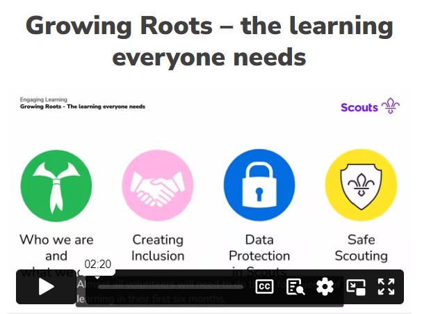 Growing Roots – the learning everyone needs