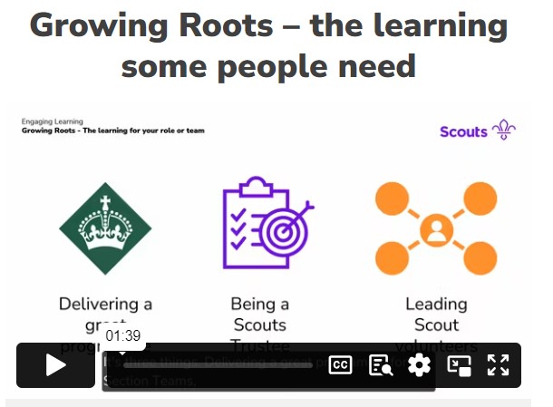 Growing Roots – the learning some people need