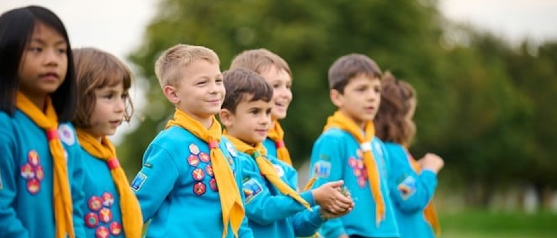 Group of Beavers 