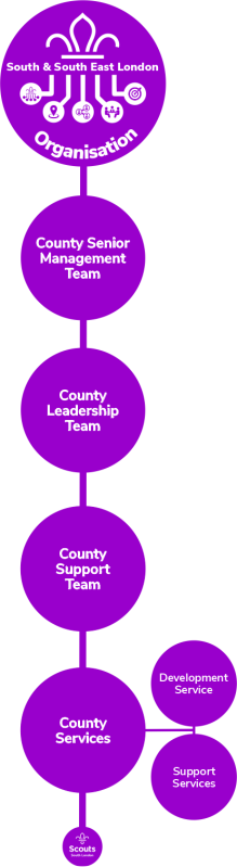 Organisation structure 