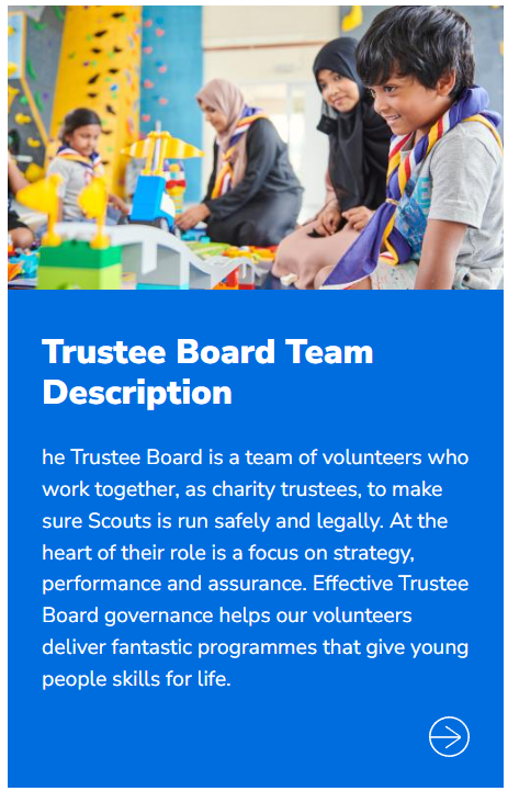 Trustee Board team description button